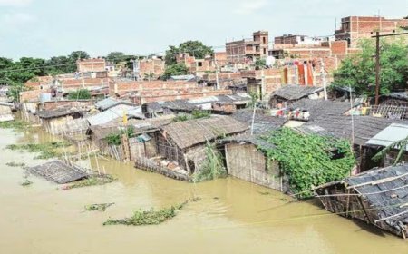 Flood Fury in Bihar Ravages Lives Across 10 Districts